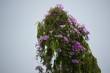 Similar image 13212121