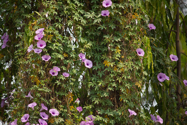 Similar image 13212122