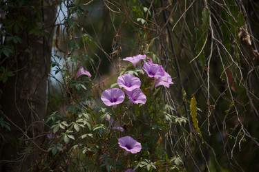 Similar image 13212123