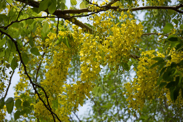 Similar image 13232107