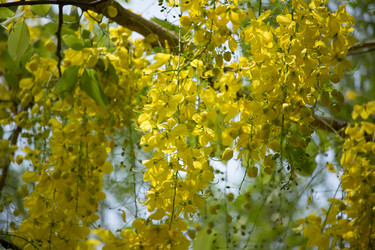 Similar image 13232119