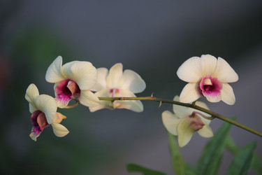 Similar image 13200885