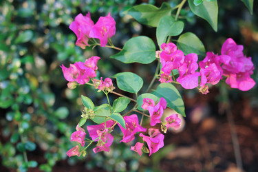 Similar image 13200887