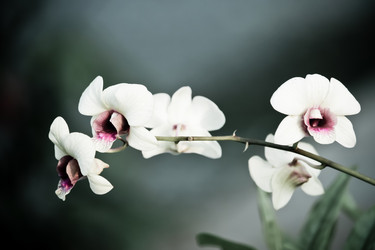 Similar image 13212371