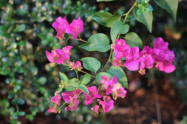 Similar image 13212372