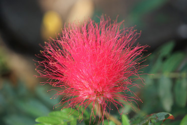 Similar image 13219230