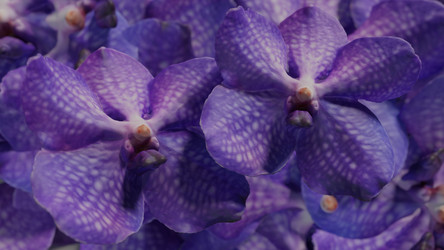 Similar image 13213124