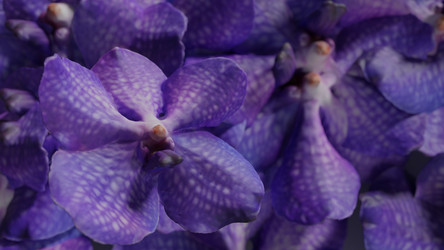 Similar image 13212391