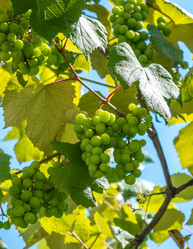 Similar image 13201448