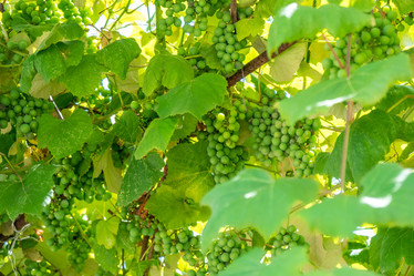 Similar image 13201482