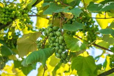 Similar image 13201483