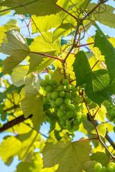 Similar image 13201484