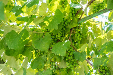 Similar image 13201485