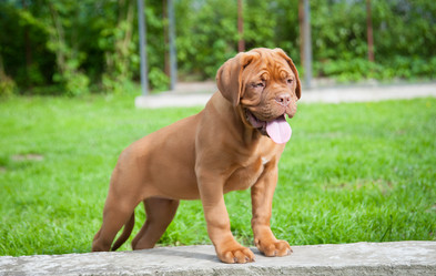 Similar image 13241089