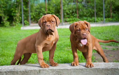 Similar image 13241090