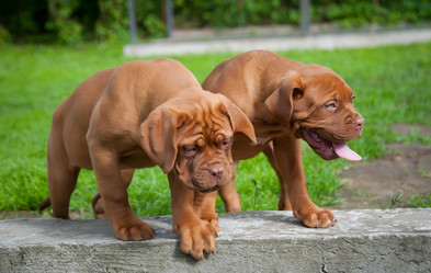 Similar image 13241214