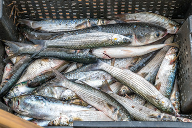 Similar image 13201449