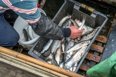 Similar image 13201451