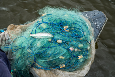 Similar image 13201453