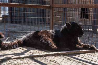 Similar image 13213576