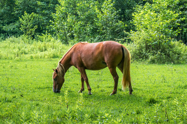 Similar image 13201426