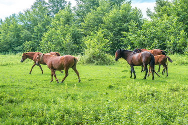 Similar image 13201429