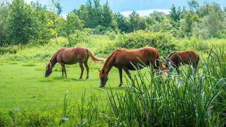 Similar image 13201430