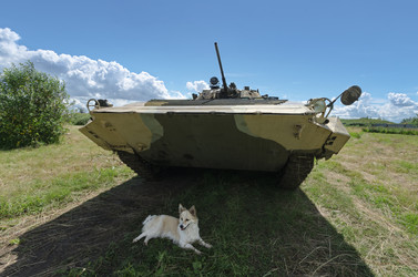 Similar image 13198862