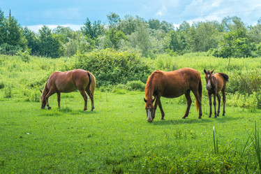 Similar image 13201432