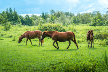 Similar image 13201433