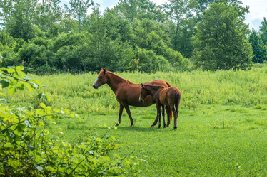 Similar image 13201456