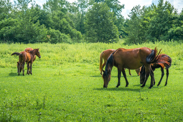 Similar image 13201459