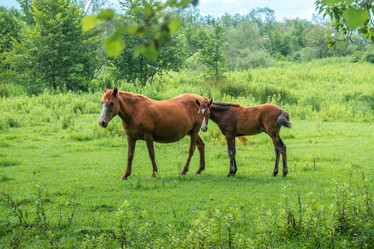 Similar image 13201460