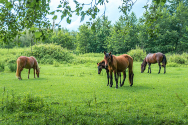 Similar image 13201464