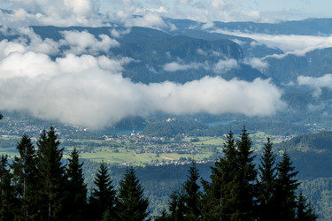 Similar image 13207886