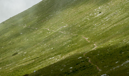 Similar image 13207891