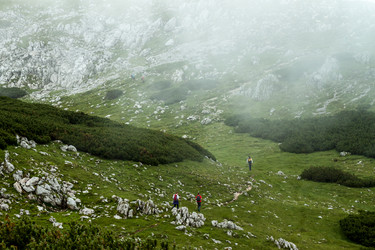 Similar image 13207893