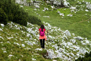 Similar image 13207896