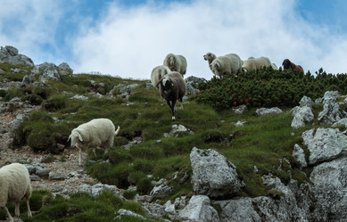 Similar image 13207918