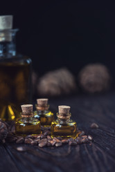 Similar image 13213180