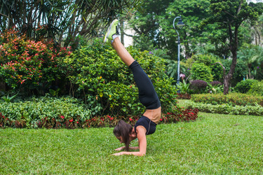 Similar image 13217253