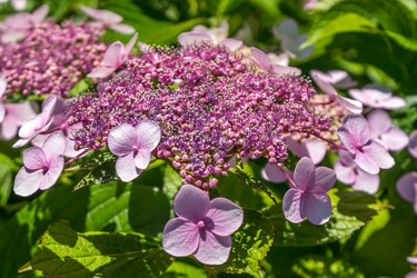 Similar image 13227418