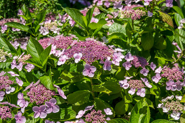 Similar image 13227419