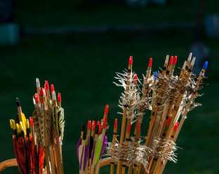 Similar image 13207933