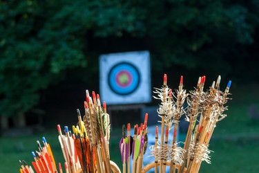 Similar image 13207936