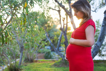 Similar image 13196487