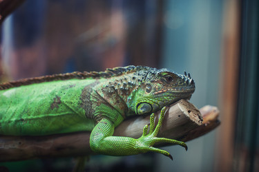 Similar image 13213200