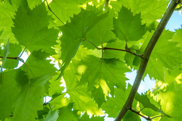 Similar image 13241595