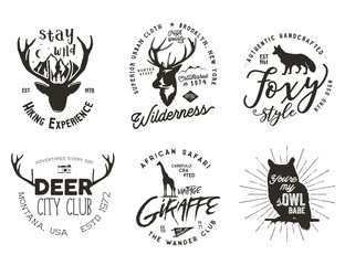 Similar image 13228533