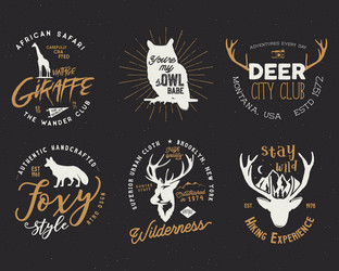 Similar image 13228552